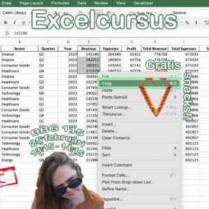 Excel