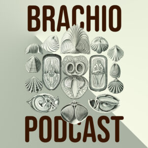 podcast logo afl1